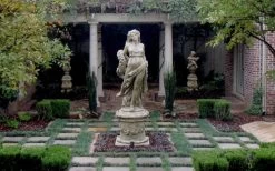 Dwarf Mondo Grass - 32 Pack Of 2.5" Pots -SHRUBS and BUSHES Store Picture Mondo Grass Dwarf Pavers 1