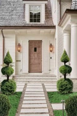 Dwarf Alberta Spruce 2-Ball Cone Topiary - 5 Gallon Pot -SHRUBS and BUSHES Store dwarf alberta spruce 3 ball poodle tier with pyramid1