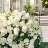Little Hottie Hydrangea - 2.5 Gallon Pot -SHRUBS and BUSHES Store hydrangea paniculata little hottie 8