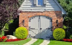 Golden Globe Arborvitae - 3 Gallon Pot -SHRUBS and BUSHES Store thuja occidentalis golden globe arborvitae 24